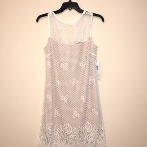 Stretch Lace Cream Dress